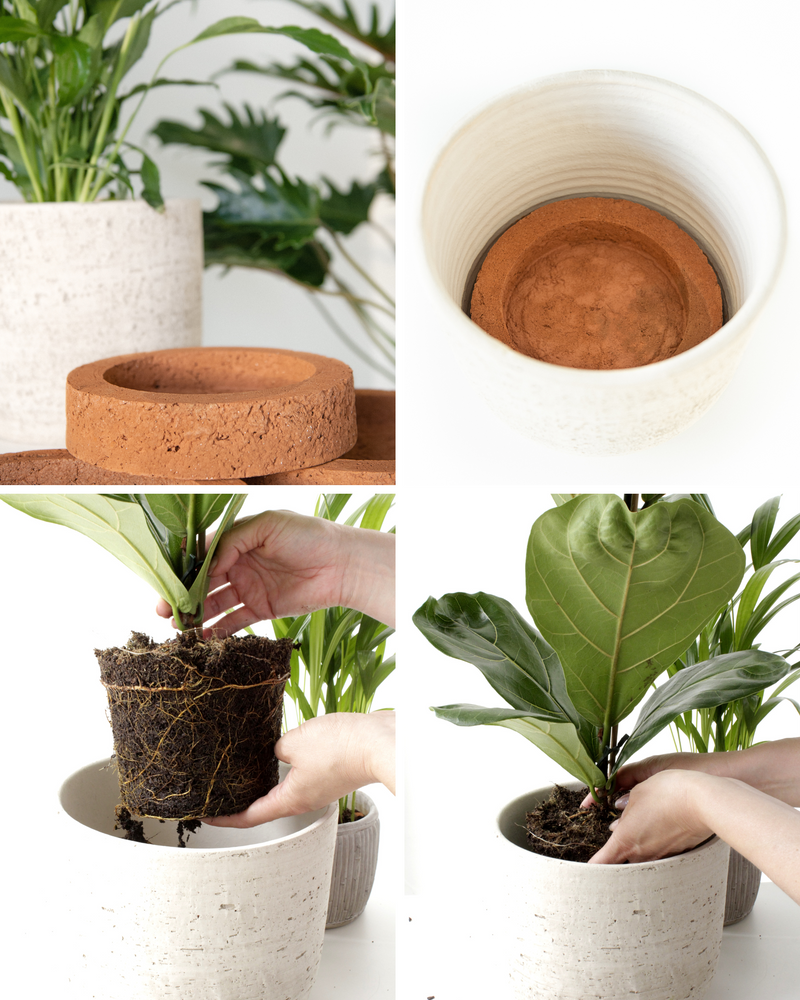 ROOTa Pad - Plant Hydro Balancer