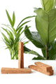 ROOTa Sticks - Plant Hydro Balancer, 1 box (4 sticks)