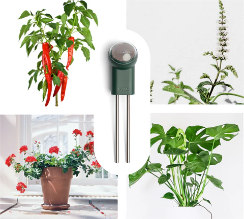 ROOTa Pad - Plant Hydro Balancer