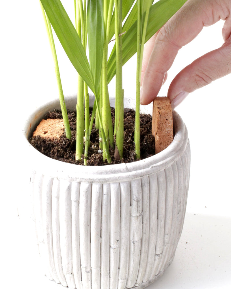 ROOTa Sticks - Plant Hydro Balancer, 1 box (4 sticks)