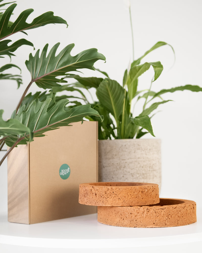 ROOTa Pad - Plant Hydro Balancer