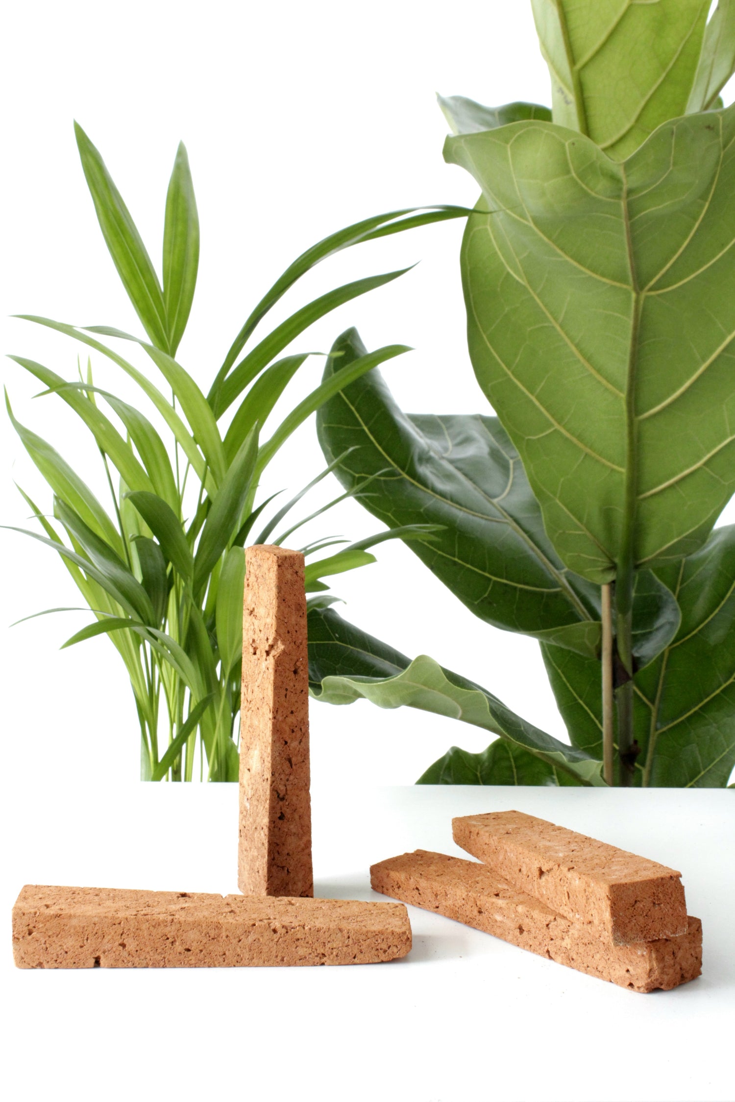 sticks for plant pots ROOTa clay sticks for potted plants, 4 pcs. – ROOTa Grow