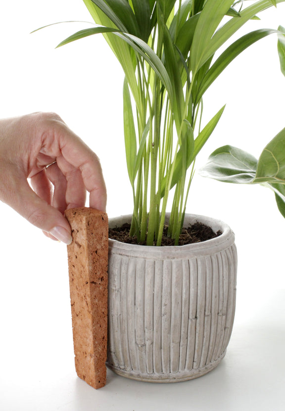 indoor plant stick ROOTa clay sticks for potted plants, 4 pcs. – ROOTa Grow