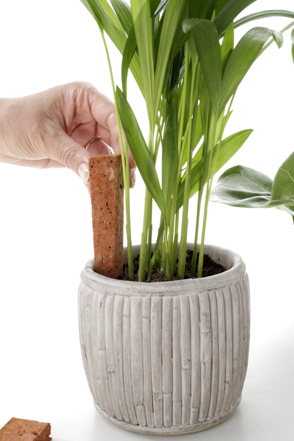 indoor stick plant ROOTa clay sticks for potted plants, 4 pcs. – ROOTa Grow