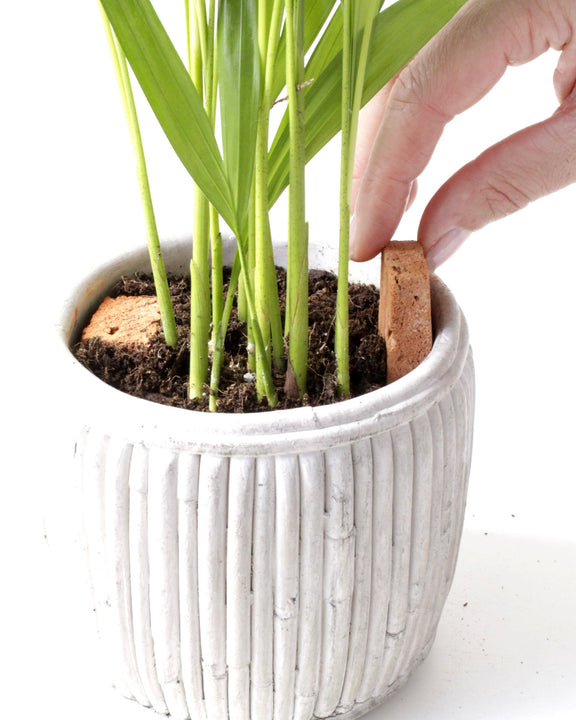 stick for pot plant ROOTa Sticks